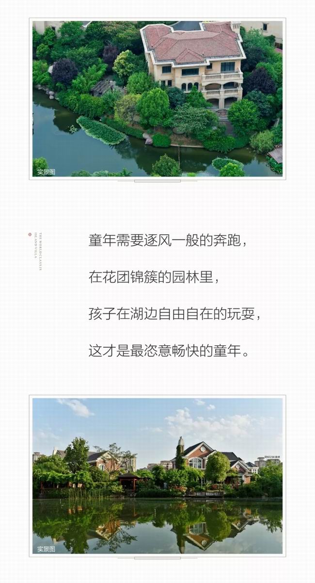 1548054719219923.jpg 640.webp (27).jpg